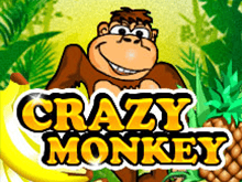Игровой автомат Crazy Monkey в виде демо в казино