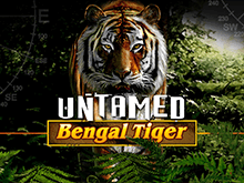 Неукротимый Бенгальский Тигр